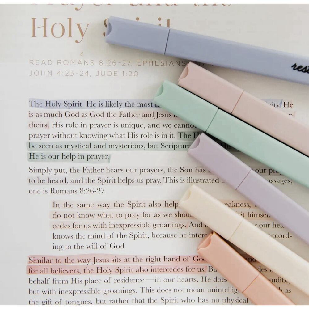 The Daily Grace Co Muted Pastel Highlighters 6 Pack New